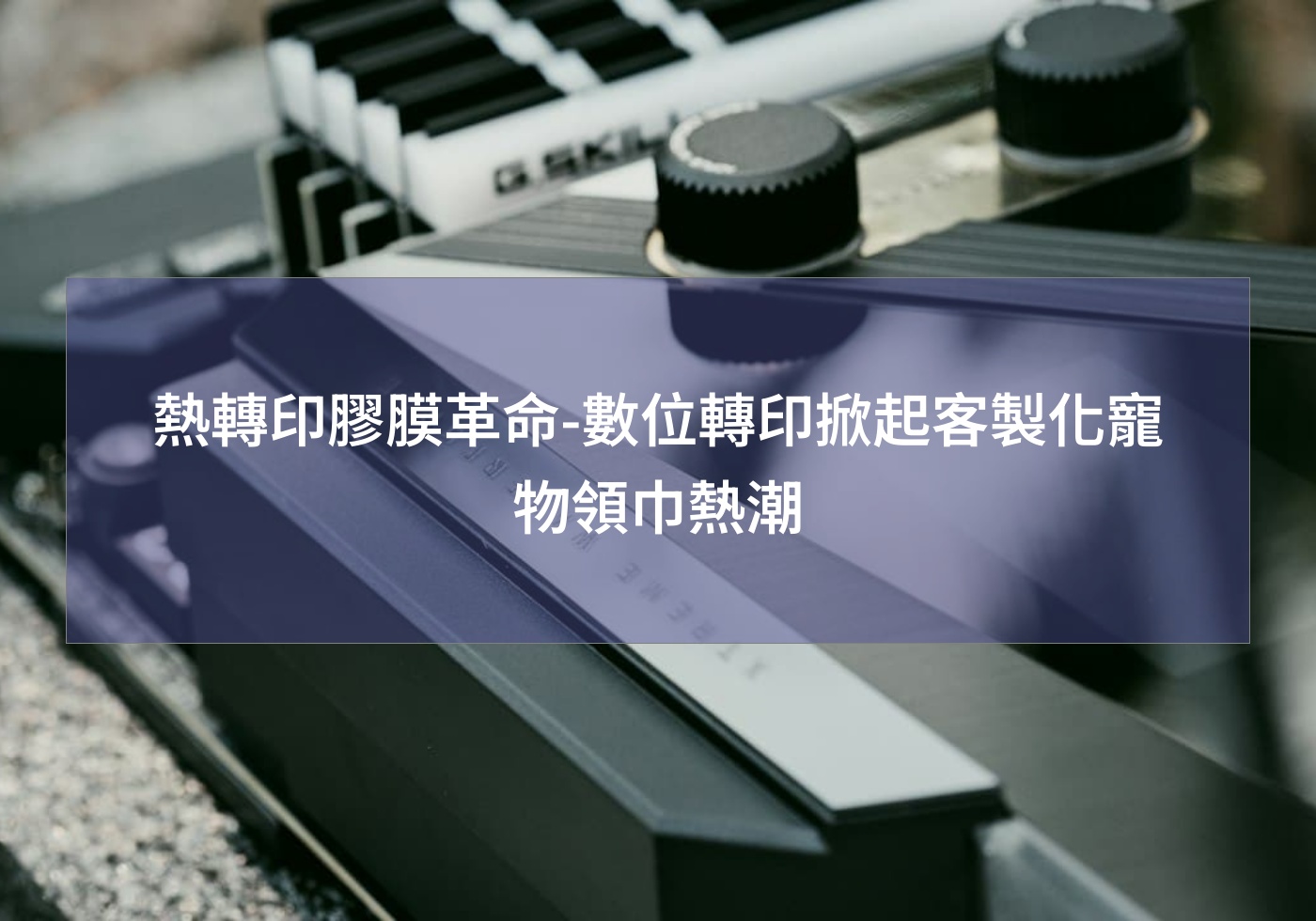 熱轉印膠膜革命-數位轉印掀起客製化寵物領巾熱潮